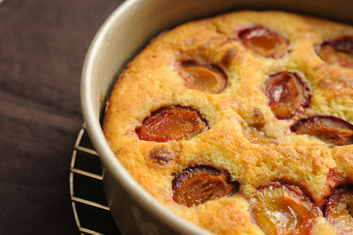 Late Summer Plum Cake