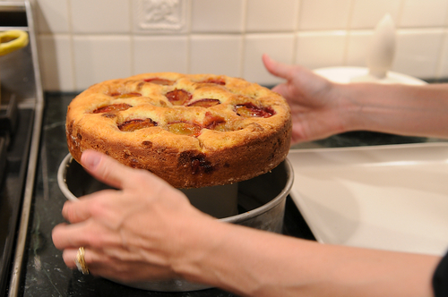 Late Summer Plum Cake
