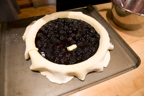 Himalayan Blackberry Pie
