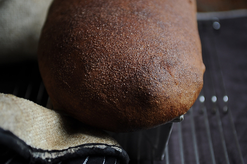Cinnamon Swirl Bread