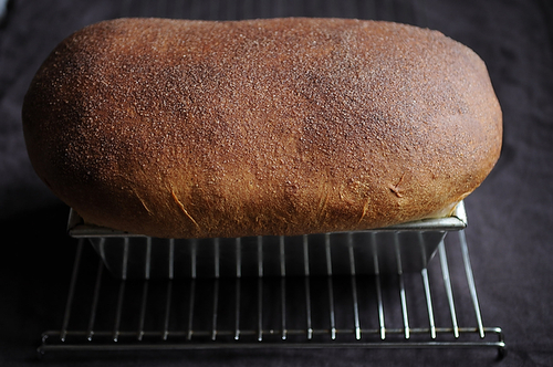 Cinnamon Swirl Bread