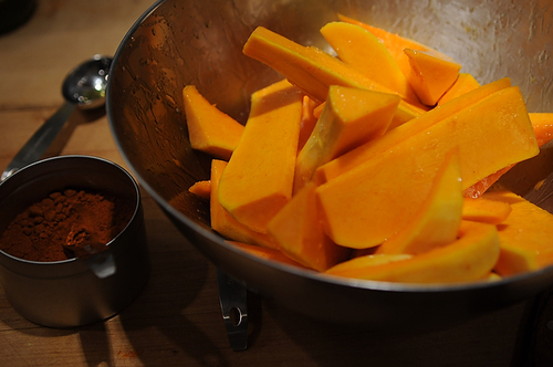 Caramelized Butternut Squash Wedges with a Sage Hazelnut Pesto