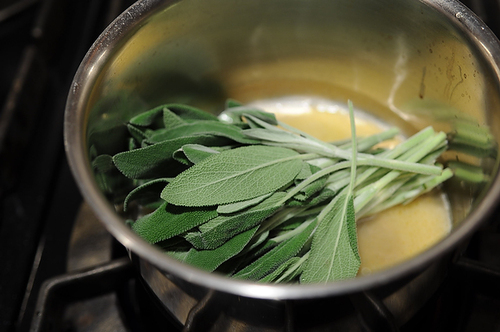 Cider-Sage Gravy