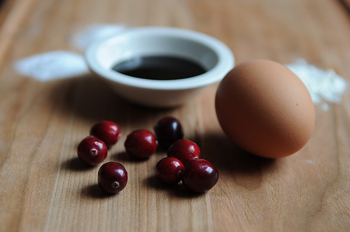 Cranberry-Molasses Pudding with Vanilla Hard Sauce