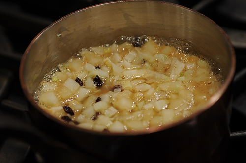Crispy Delicata Rings with Currant, Fennel & Apple Relish