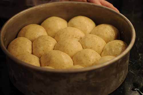 Sour Cream Dinner Rolls