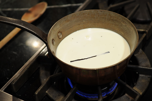 Burnt Caramel Pudding