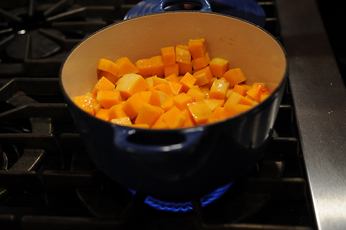 Butternut Squash Puree