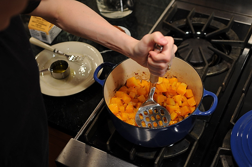 Butternut Squash Puree