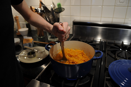 Butternut Squash Puree