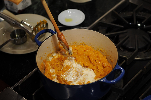 Butternut Squash Puree