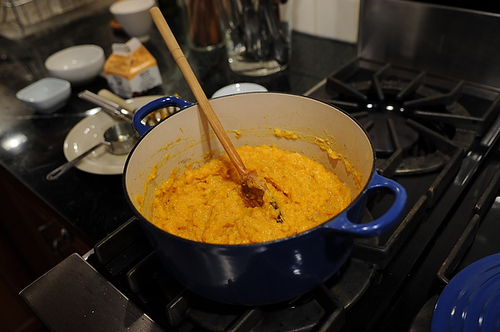 Butternut Squash Puree