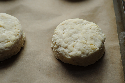 Cheese Biscuits