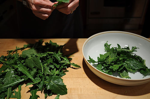 Dandelion Greens Salad 