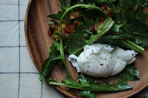 Dandelion Greens Salad 