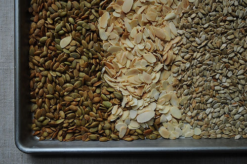 Sara's "Granola Bars"