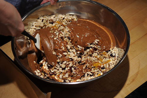 Sara's "Granola Bars"