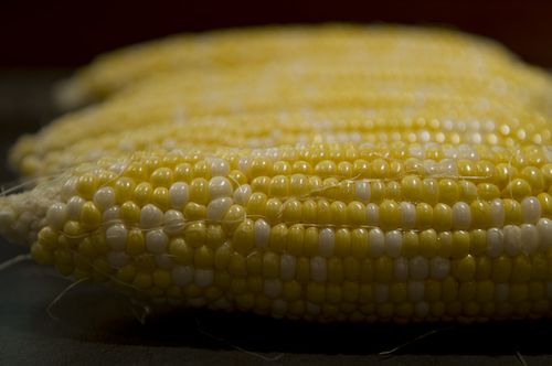 Rhonda's Succotash