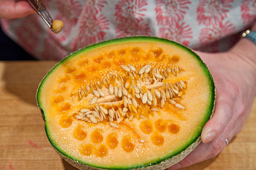 White Gazpacho with Cantaloupe