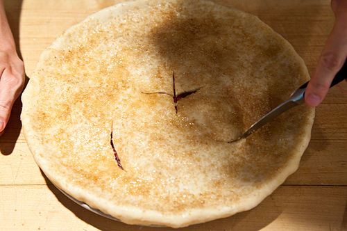 Raspberry Swamp Pie