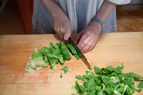 Radish and Escarole Salad with Anchovy Vinaigrette