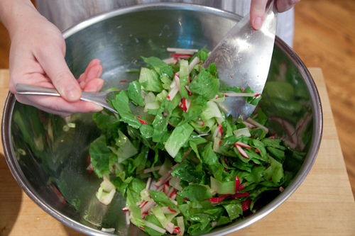 Radish and Escarole Salad with Anchovy Vinaigrette