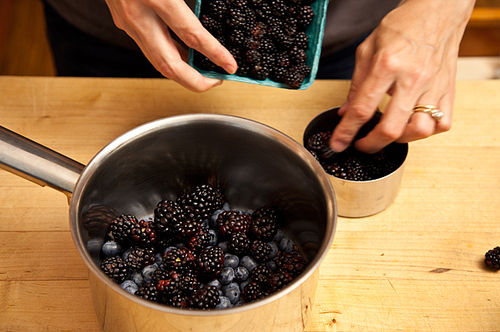 Blackberry, Rosemary, and Yogurt Popsicles