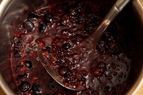 Blackberry, Rosemary, and Yogurt Popsicles