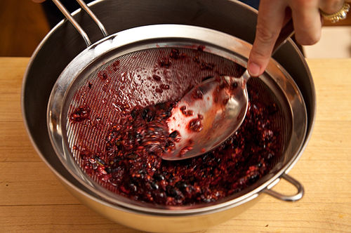 Blackberry, Rosemary, and Yogurt Popsicles