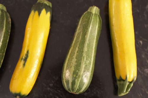 Roasted Zucchini with Chili-Mint Vinaigrette