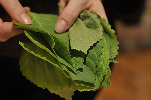 Bacon and Shiso Fried Rice