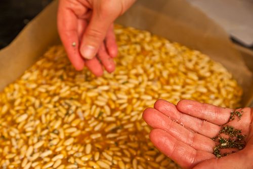 Pine Nut Brittle with Rosemary