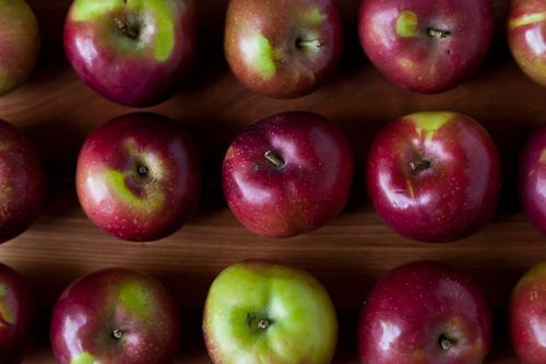 Judy Rodgers' Roasted Applesauce (and Savory Apple Charlottes)