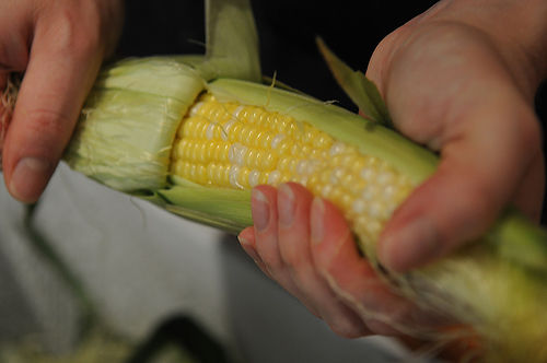 Summer Corn Chowder