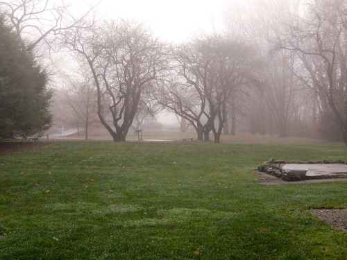 1foggy-morning