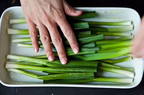 Molly Stevens' Sweet Braised Whole Scallions