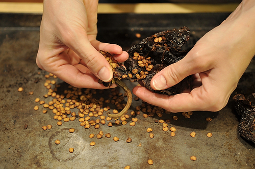 Ancho Chili-Cinnamon Chocolate Bark