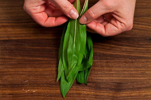Ramp Carbonara