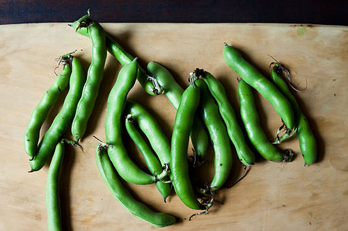 Ignacio Mattos’ Grilled Favas