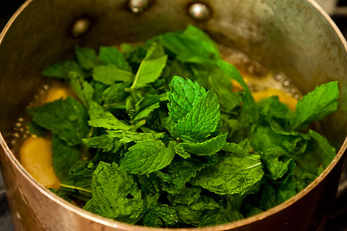 Orange Ginger Mint Sodas