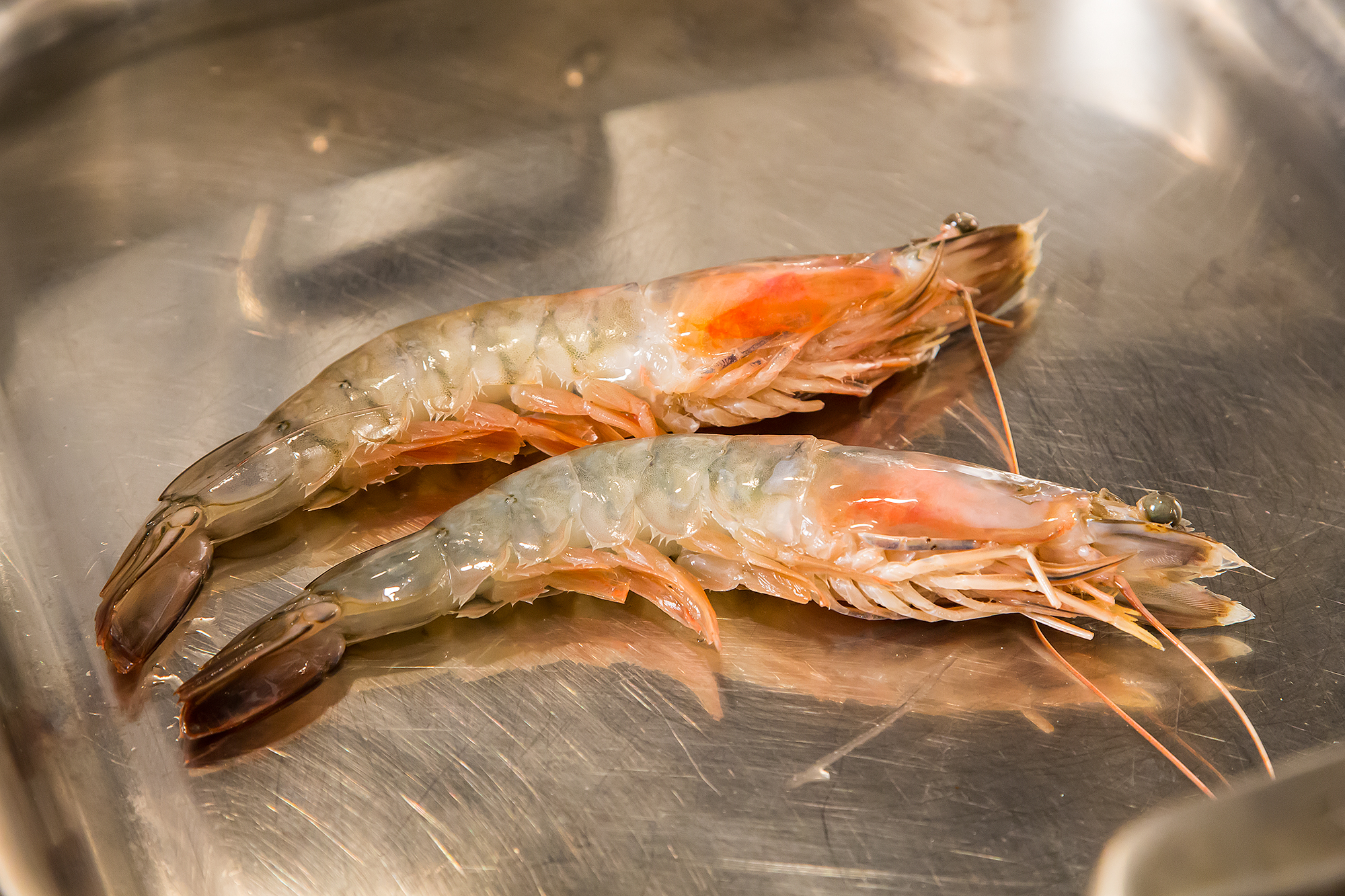 Food52_10-09-12-4101