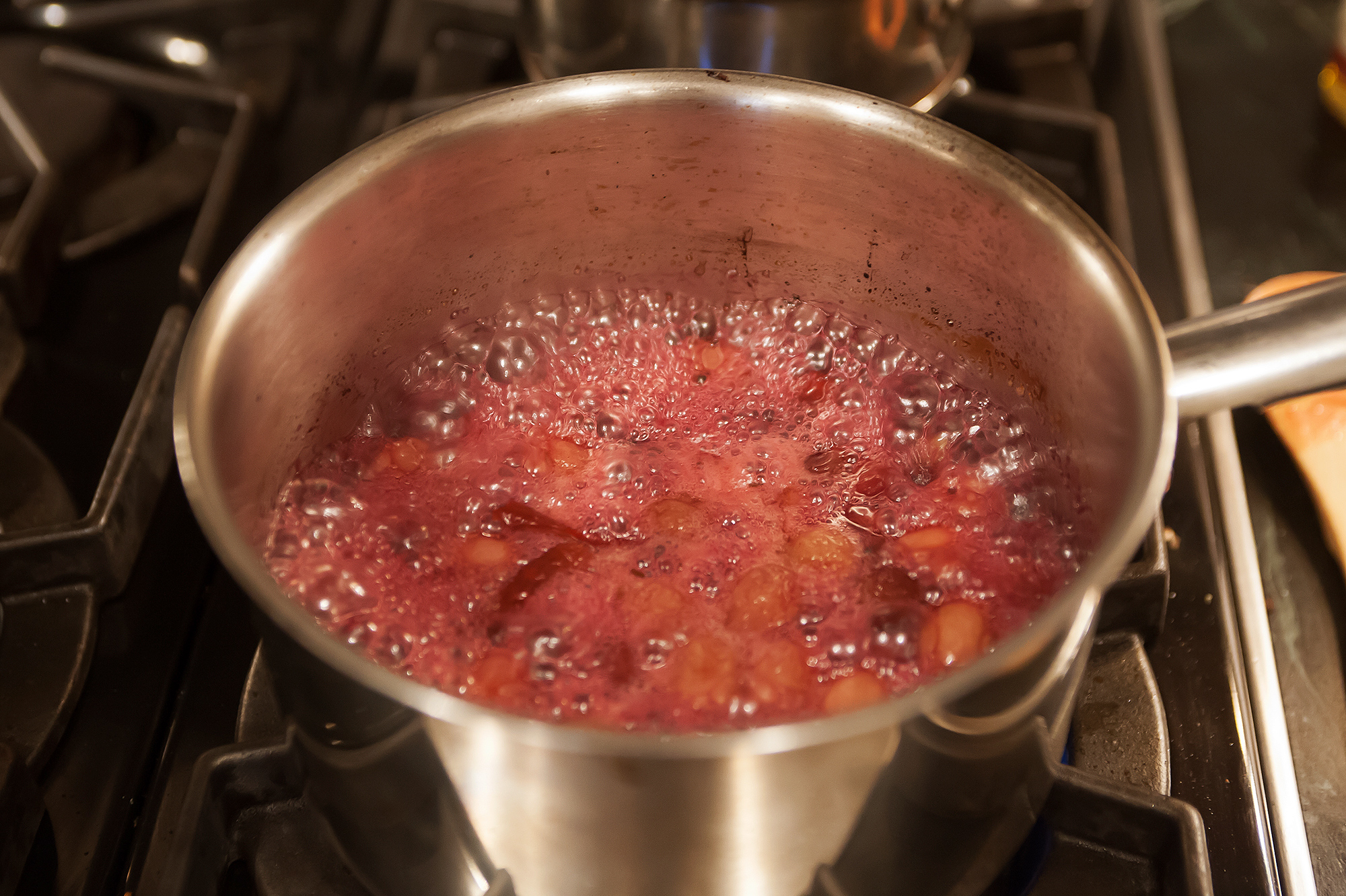 Grapechutney-process15_revised