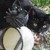 Boots_wallcat_mini