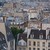 Parisian_squirrel