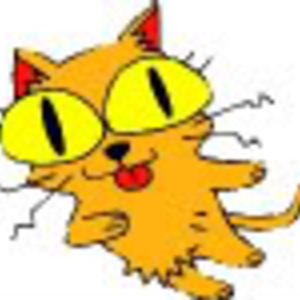 YellerKitty