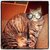 Open-uri20130227-16823-m9evxj-0