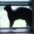 Windowcat