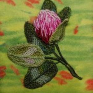 Lisa Harkins