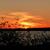 Sunsetonprovidencebaynite2