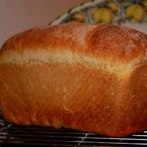 katiebakes